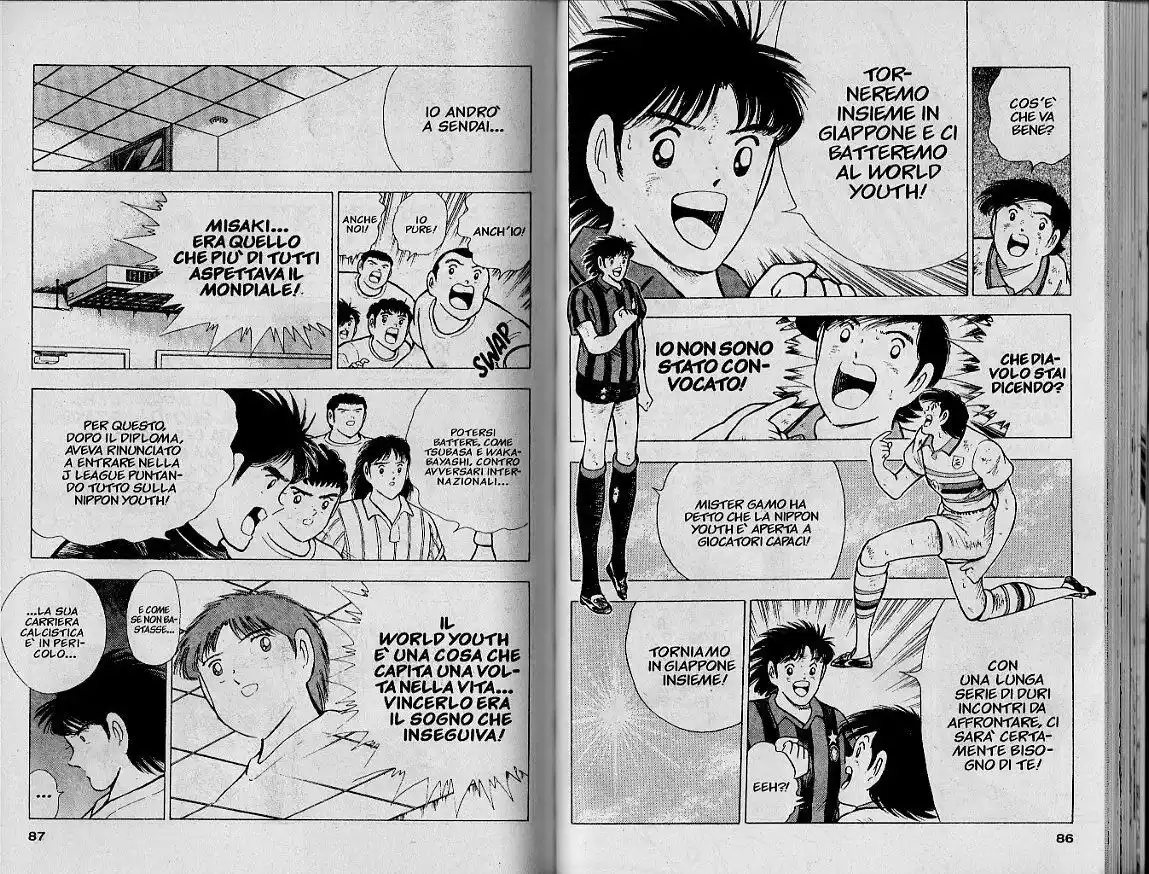 Captain Tsubasa: World Youth Hen Capitolo 48 page 17