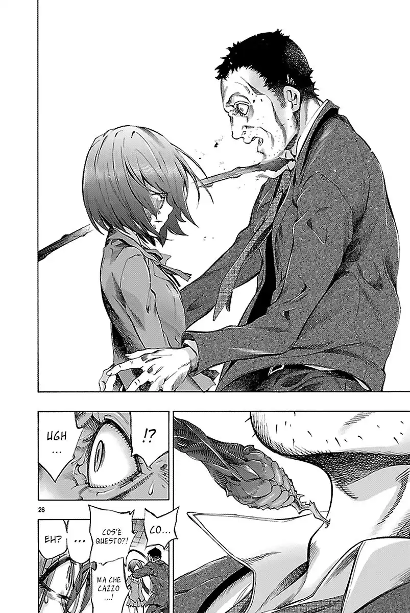 26