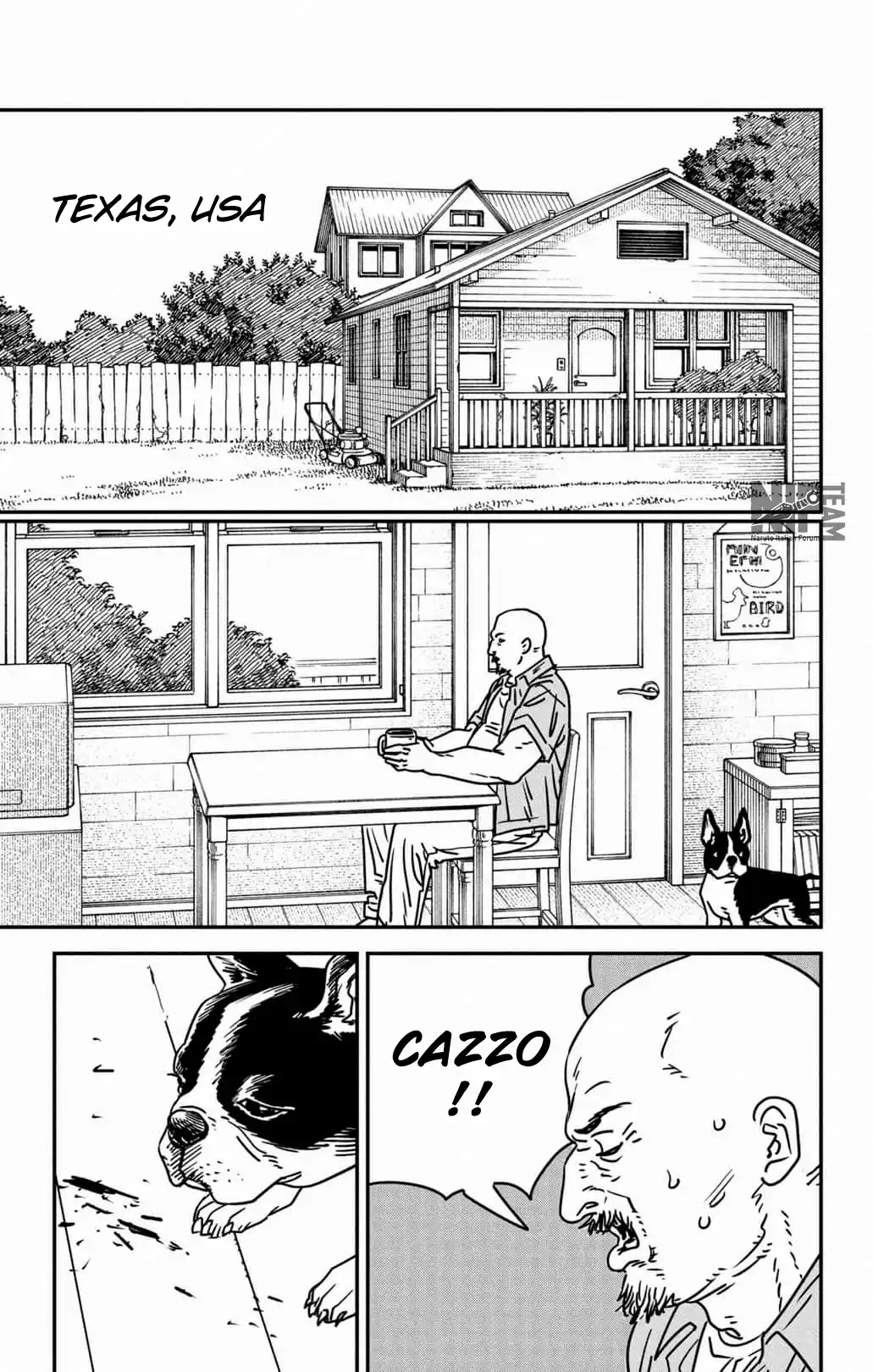 Chainsaw Man Capitolo 177 page 14