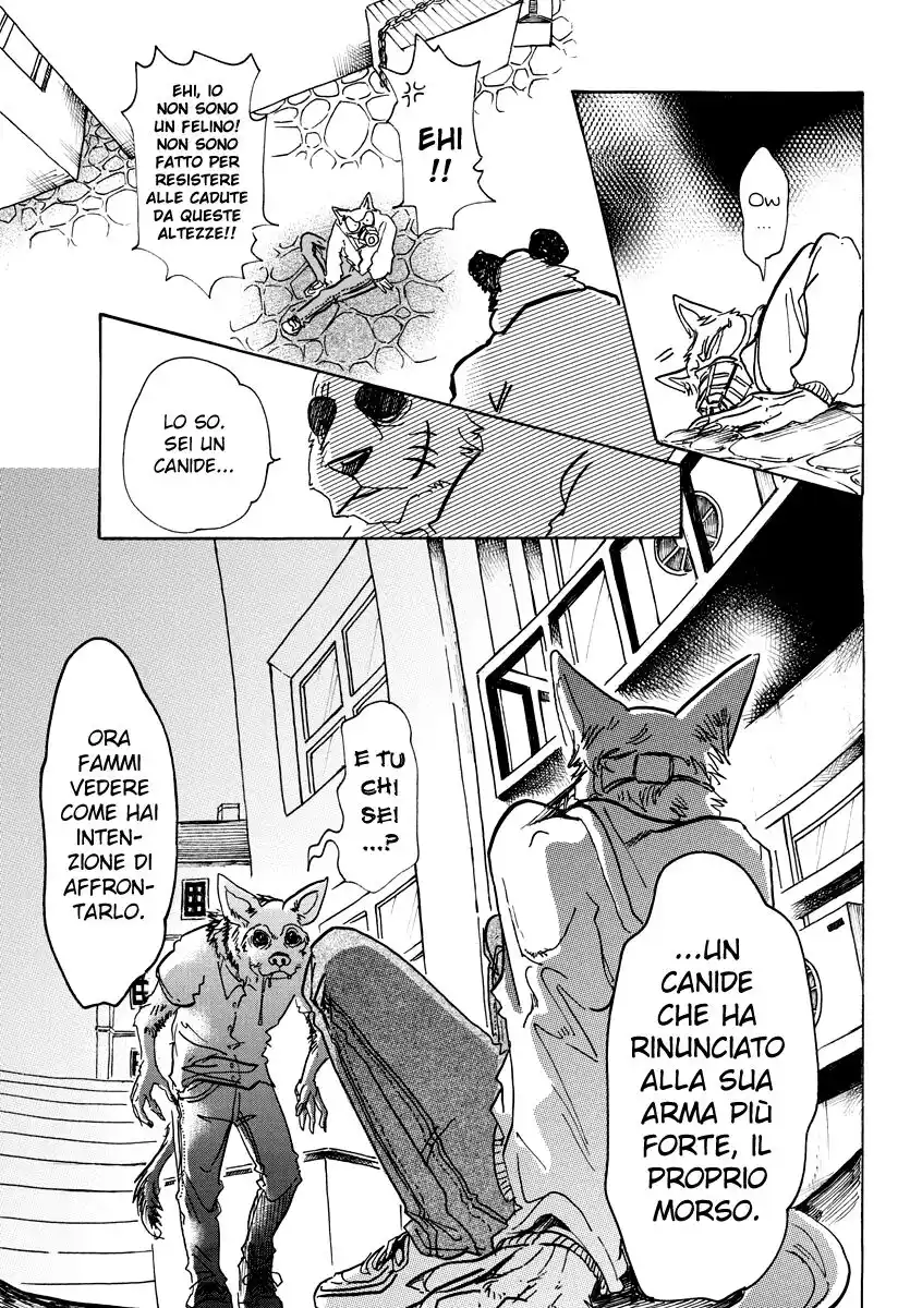 Beastars Capitolo 68 page 13