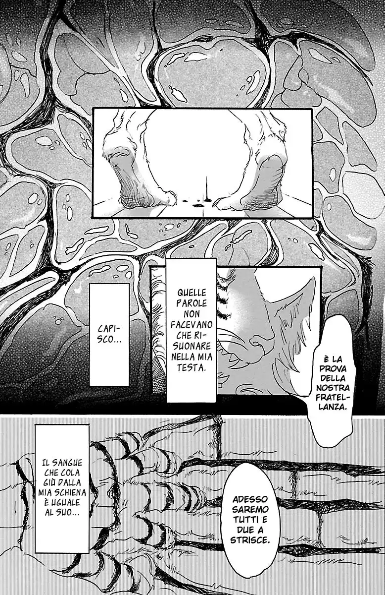 Beastars Capitolo 16 page 1