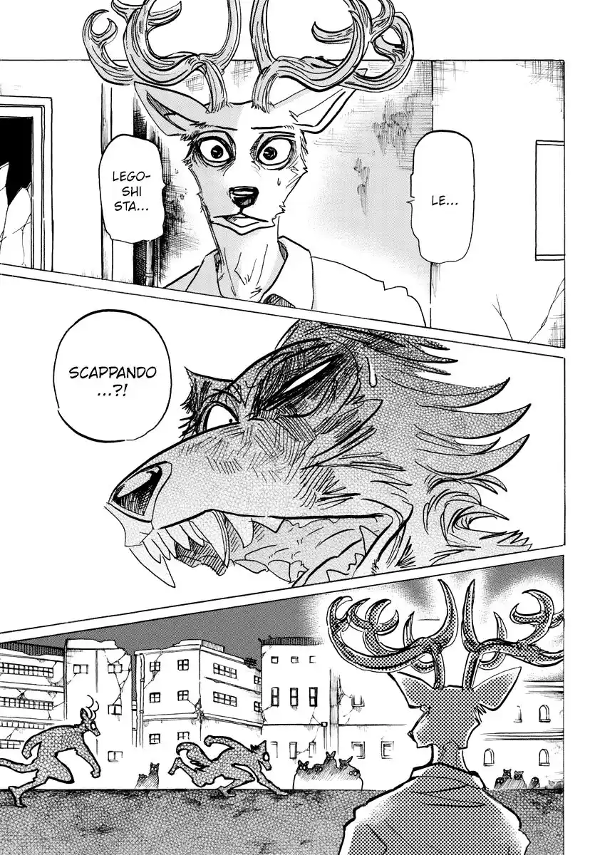 Beastars Capitolo 187 page 5