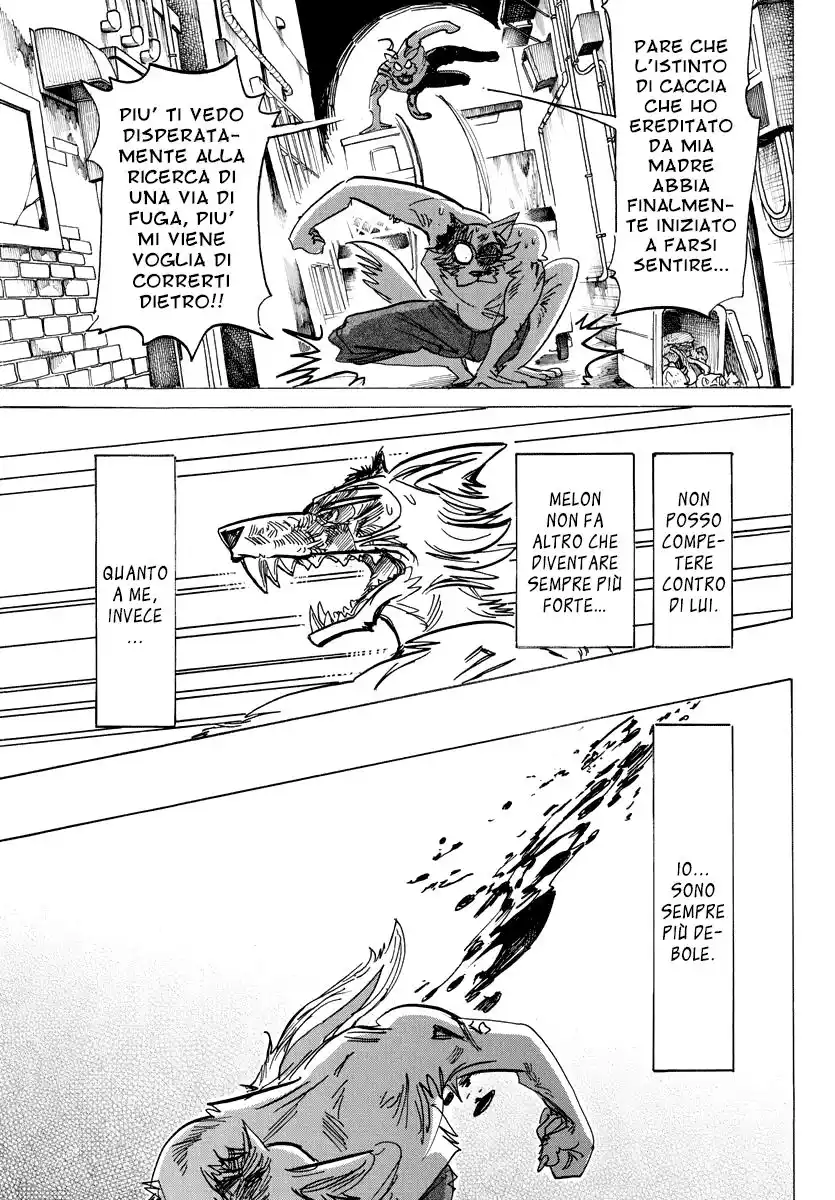 Beastars Capitolo 187 page 7