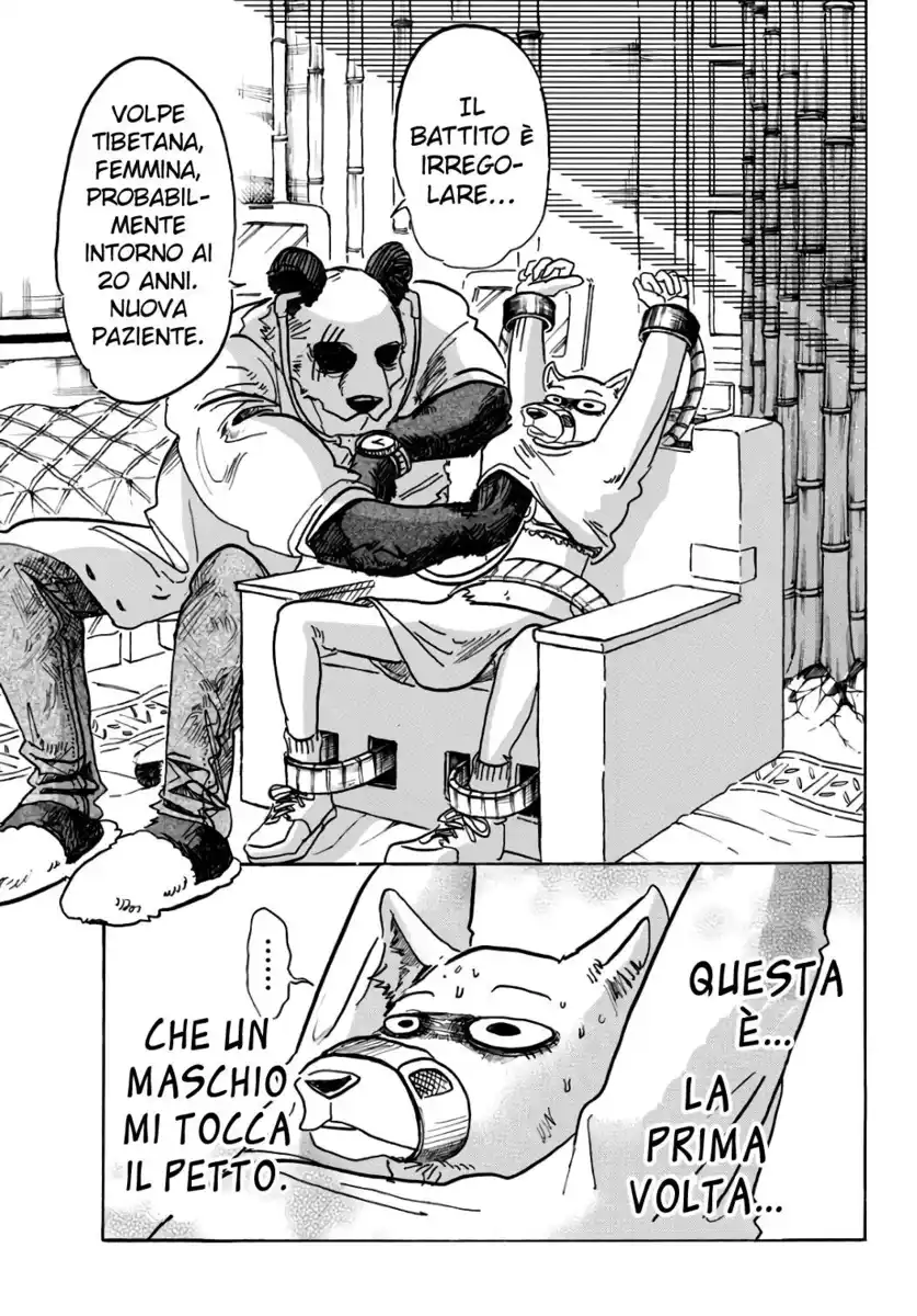 Beastars Capitolo 86 page 3