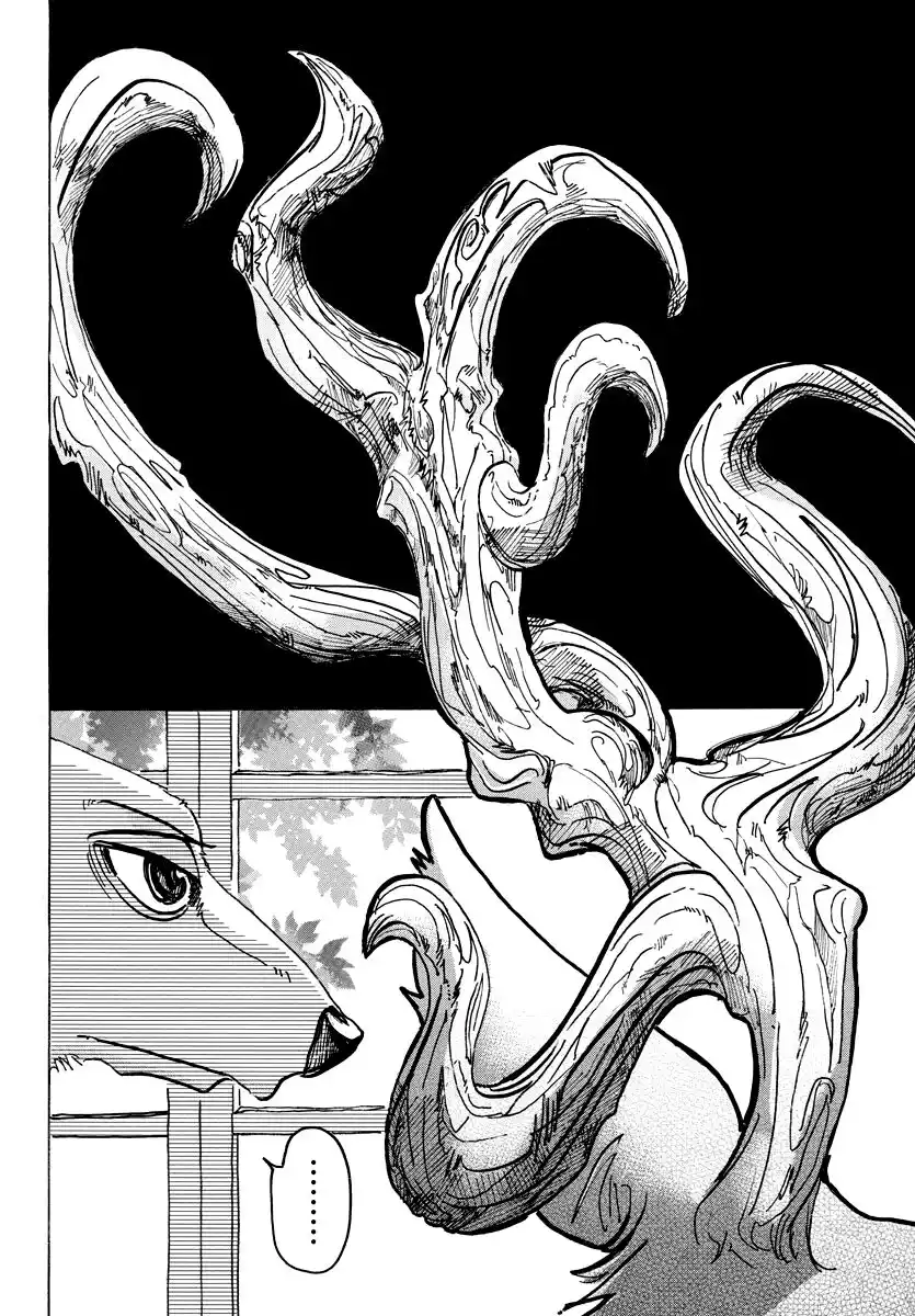 Beastars Capitolo 65 page 2