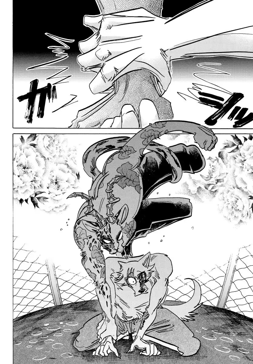 Beastars Capitolo 184 page 13