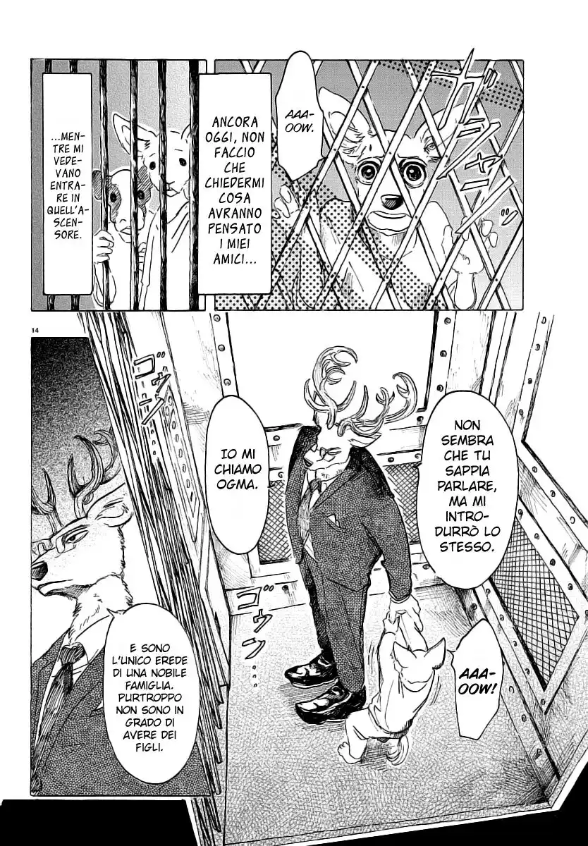 Beastars Capitolo 33 page 14