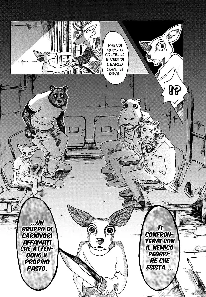 Beastars Capitolo 33 page 16