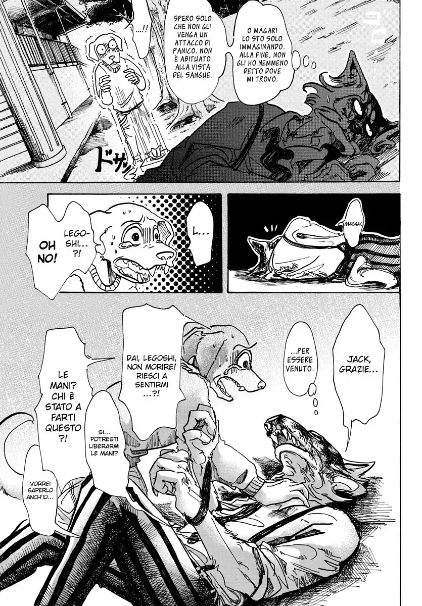 Beastars Capitolo 61 page 5