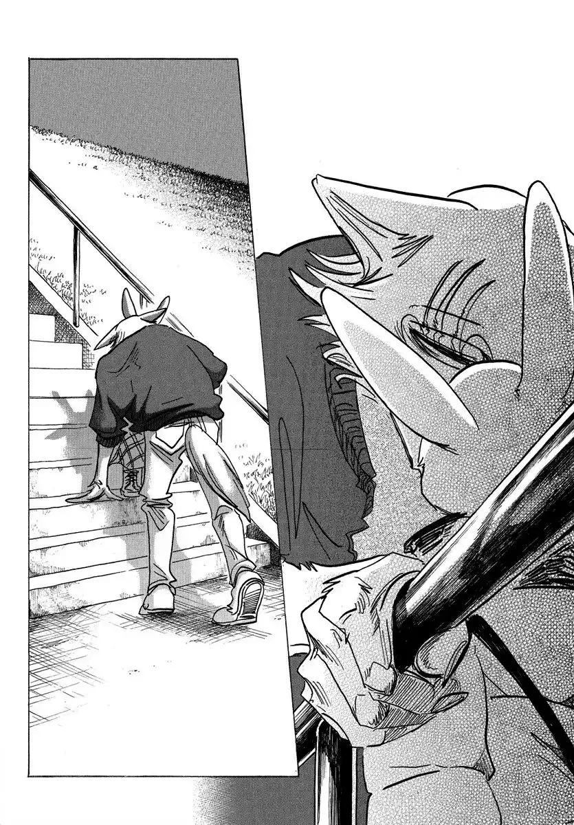 Beastars Capitolo 173 page 16