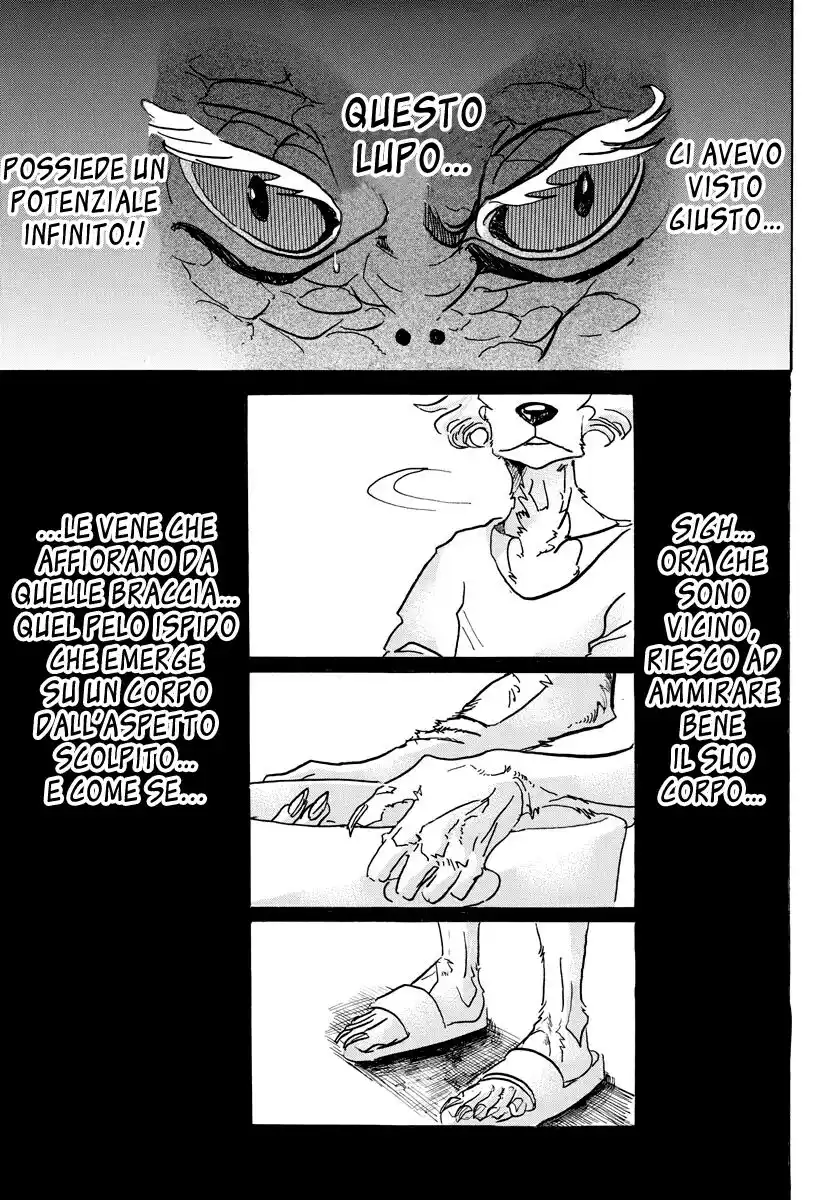 Beastars Capitolo 55 page 3