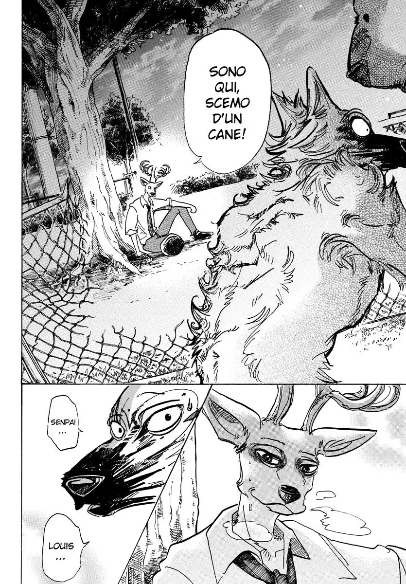 Beastars Capitolo 96 page 16