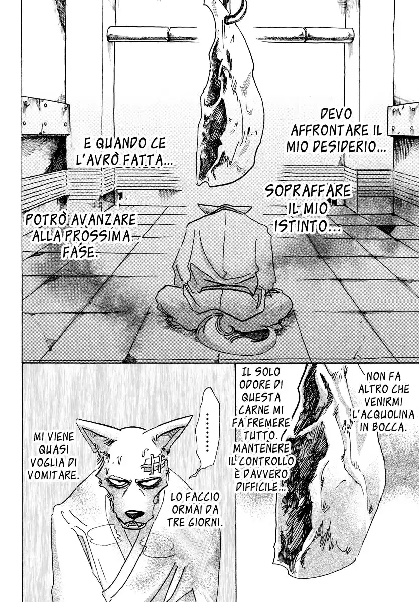 Beastars Capitolo 63 page 8