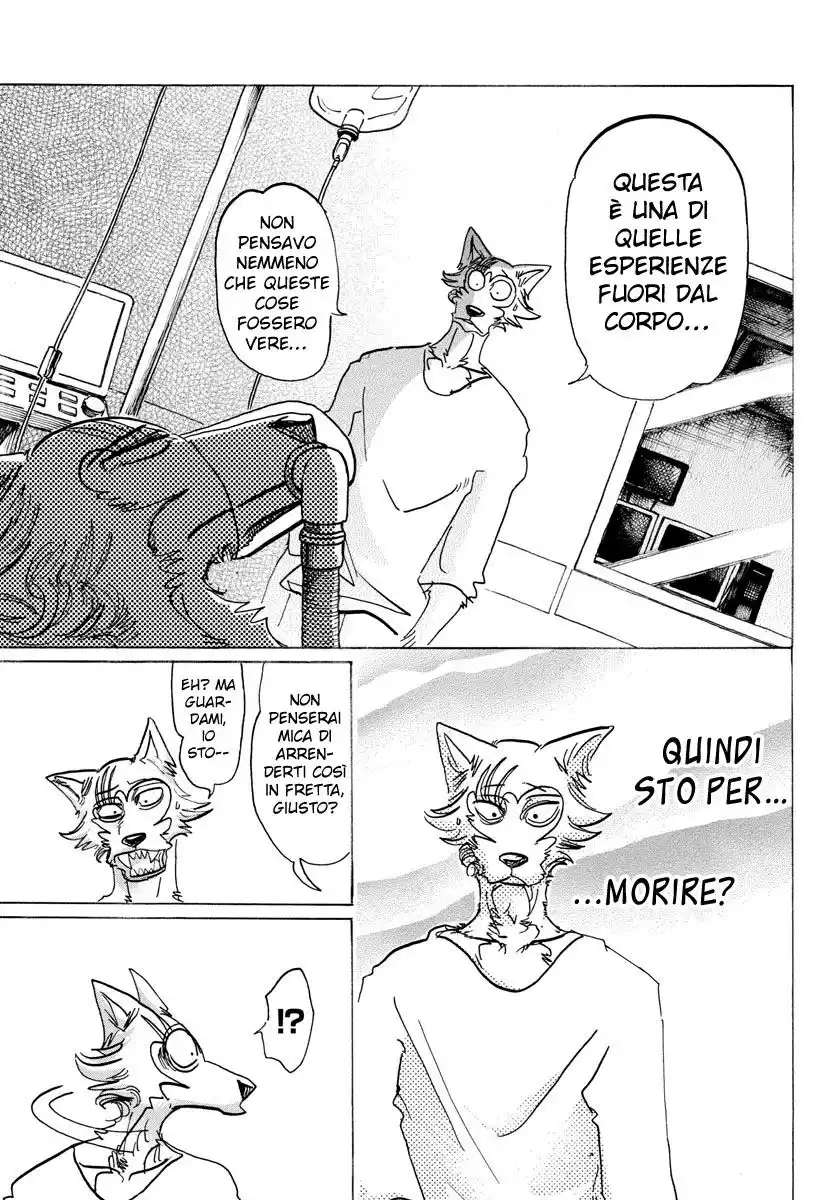 Beastars Capitolo 132 page 17