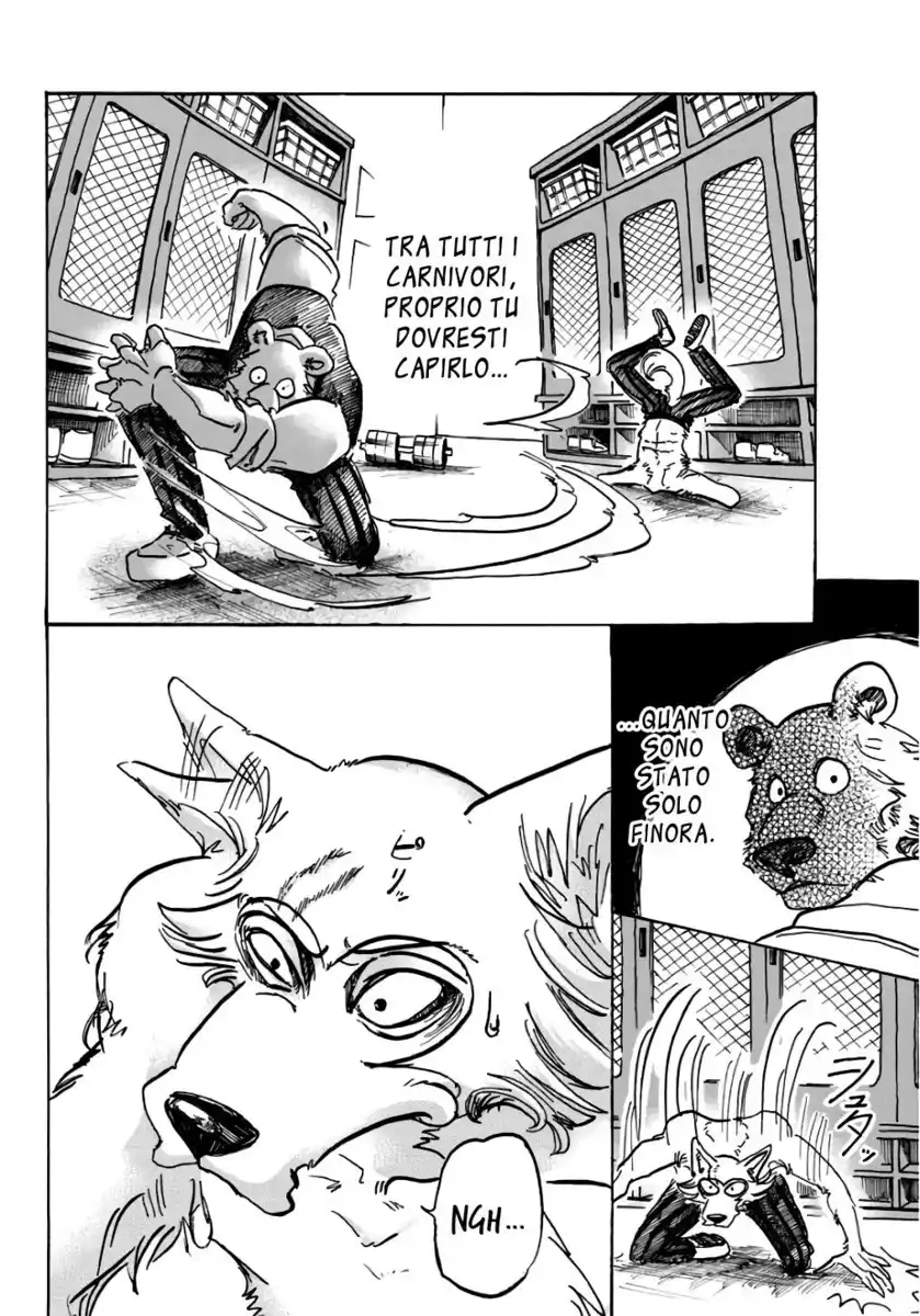 Beastars Capitolo 84 page 11