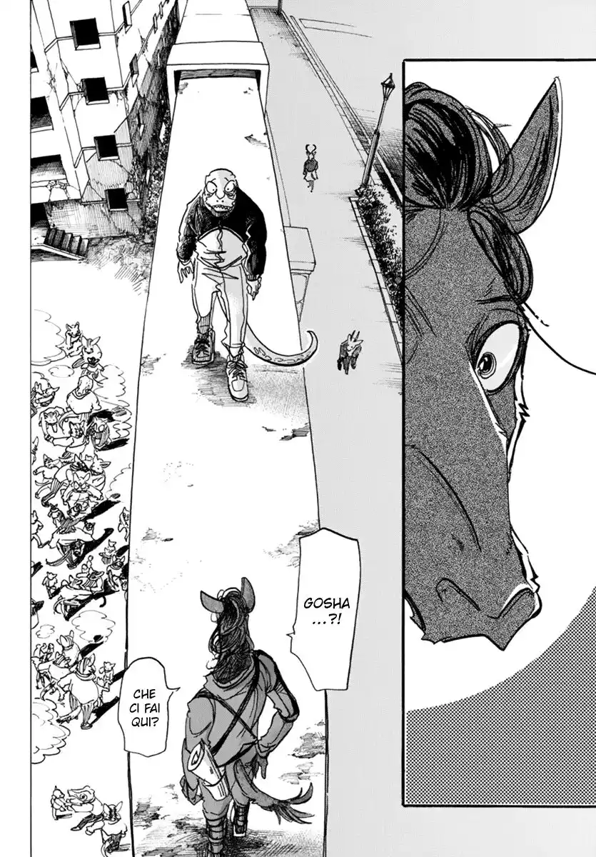 Beastars Capitolo 176 page 6