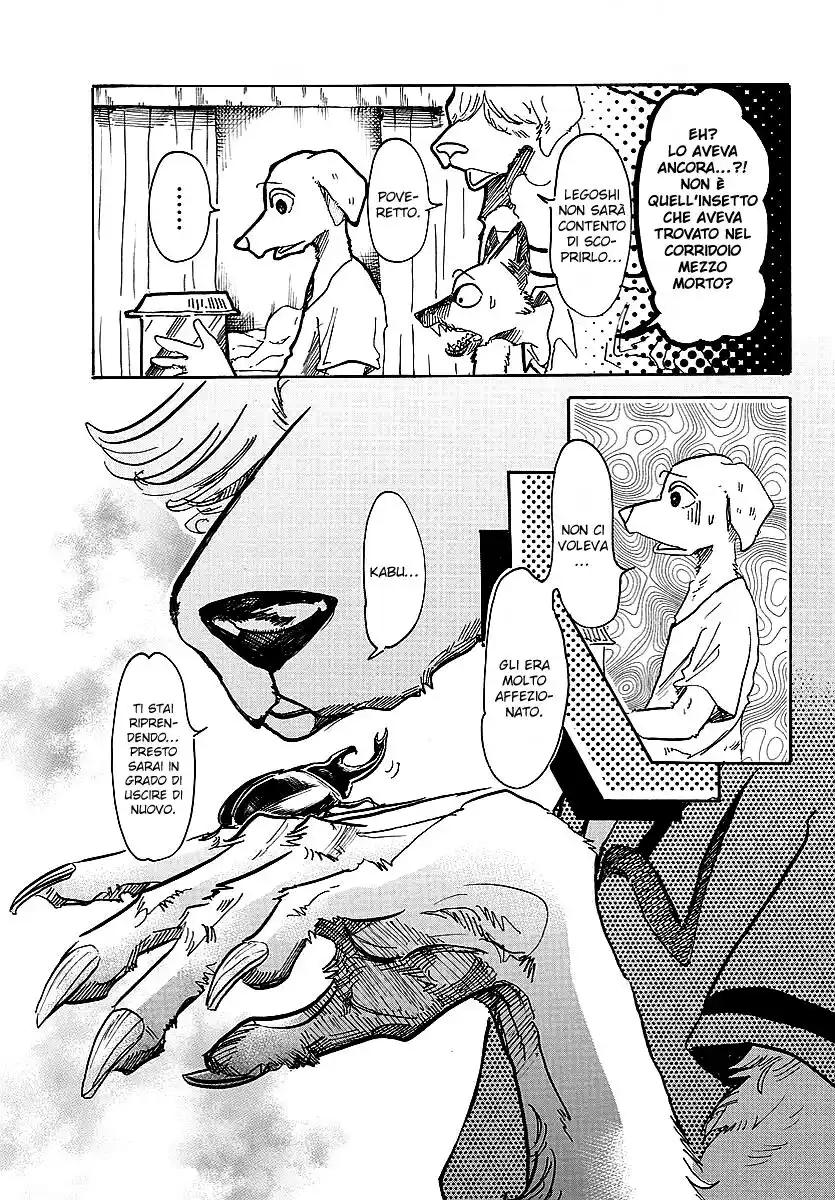 Beastars Capitolo 41 page 5