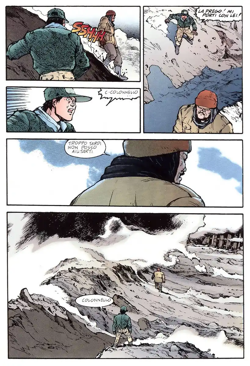 43
