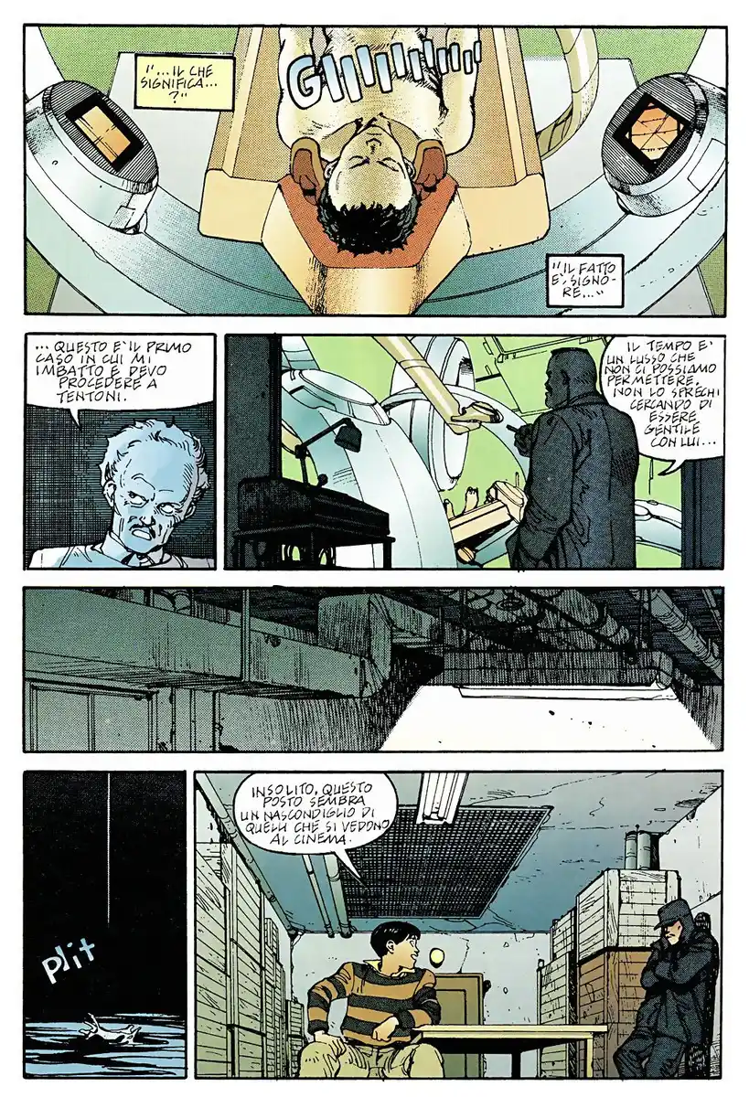 31
