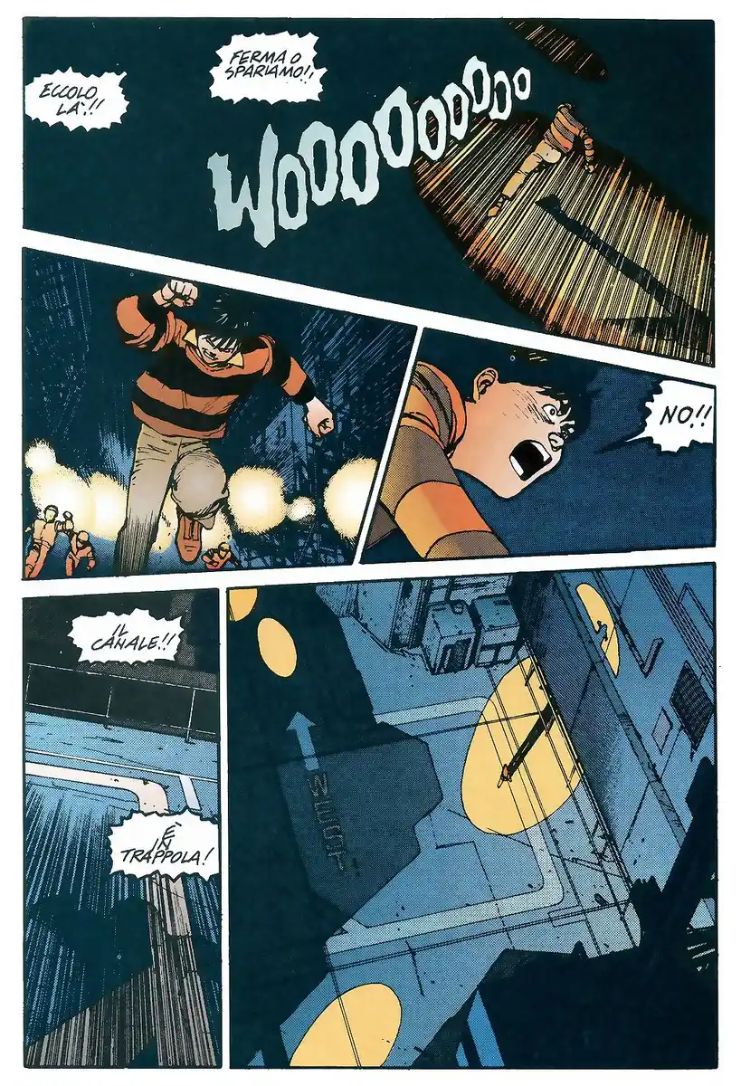 33
