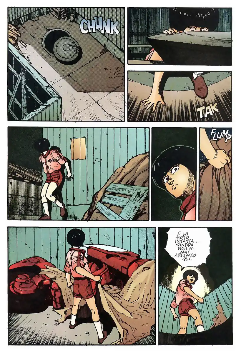 41