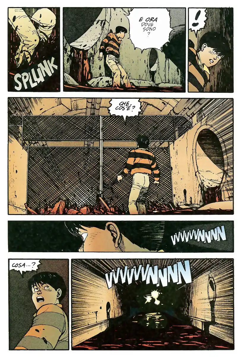 43