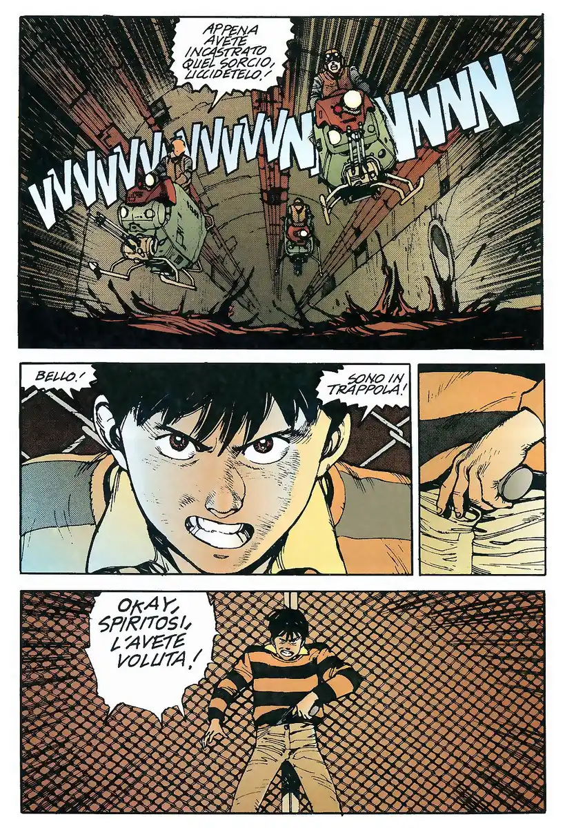 44