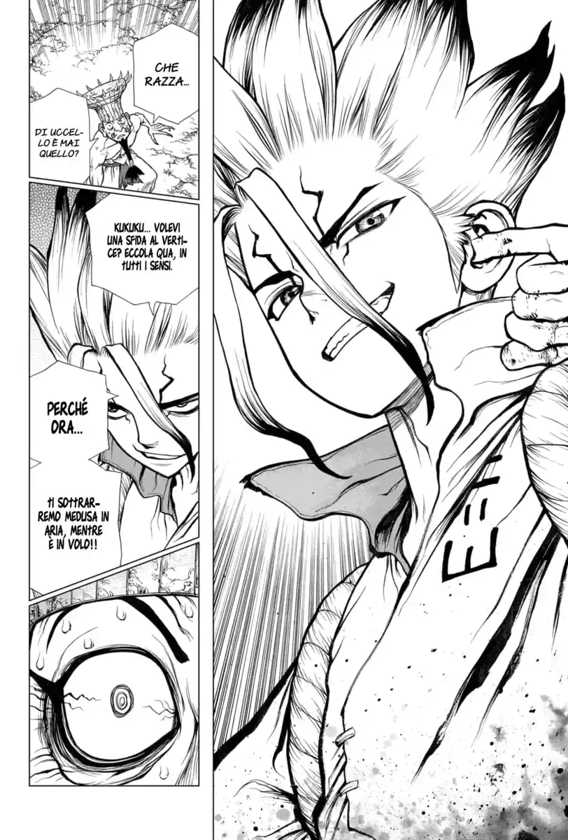 Dr. Stone Capitolo 136 page 17