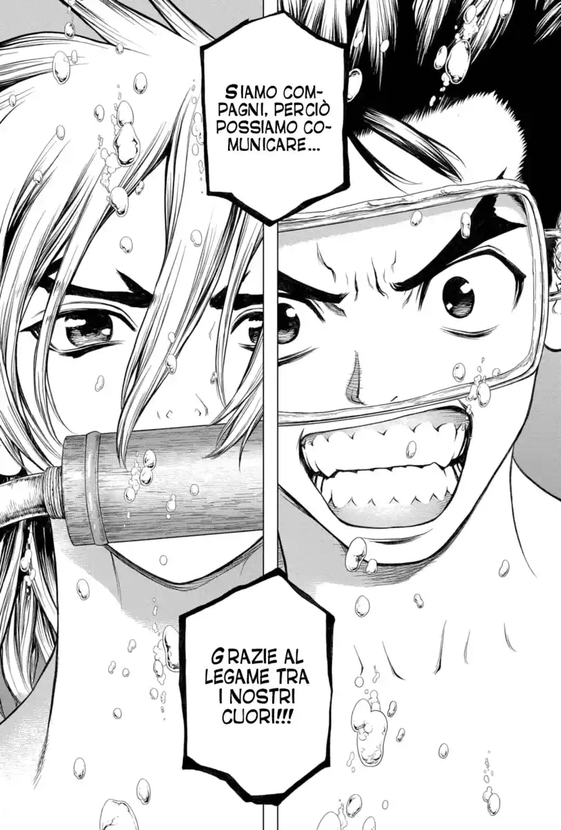 Dr. Stone Capitolo 118 page 16