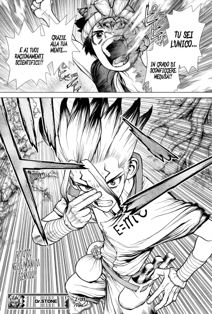 Dr. Stone Capitolo 133 page 19