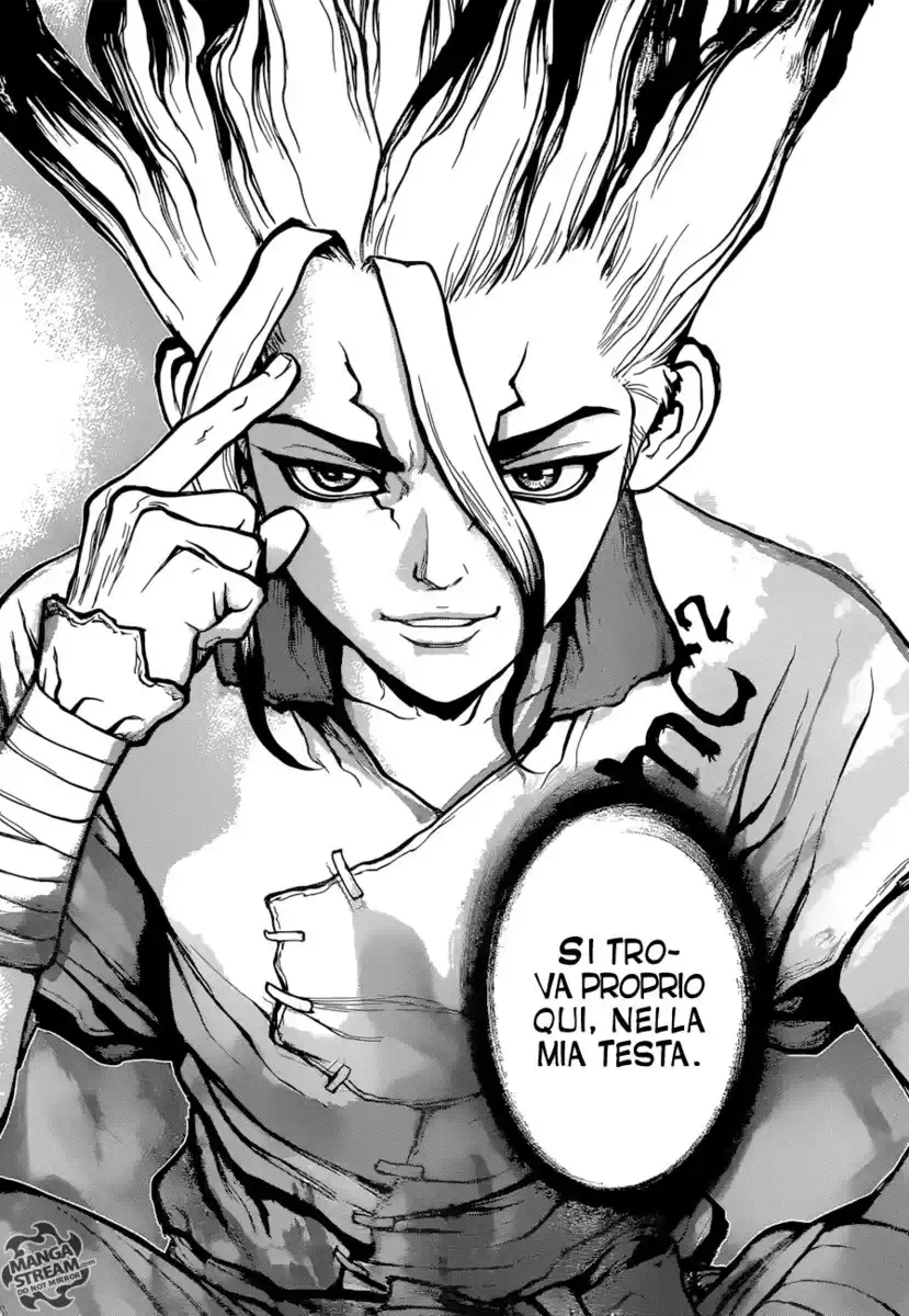 Dr. Stone Capitolo 19 page 17