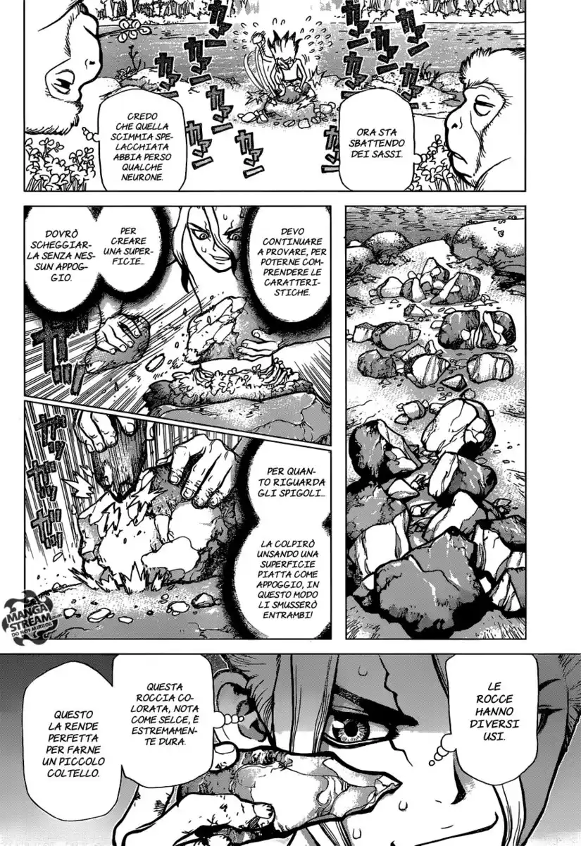 Dr. Stone Capitolo 13 page 13