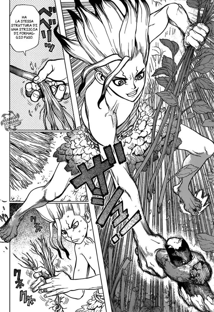 Dr. Stone Capitolo 13 page 15