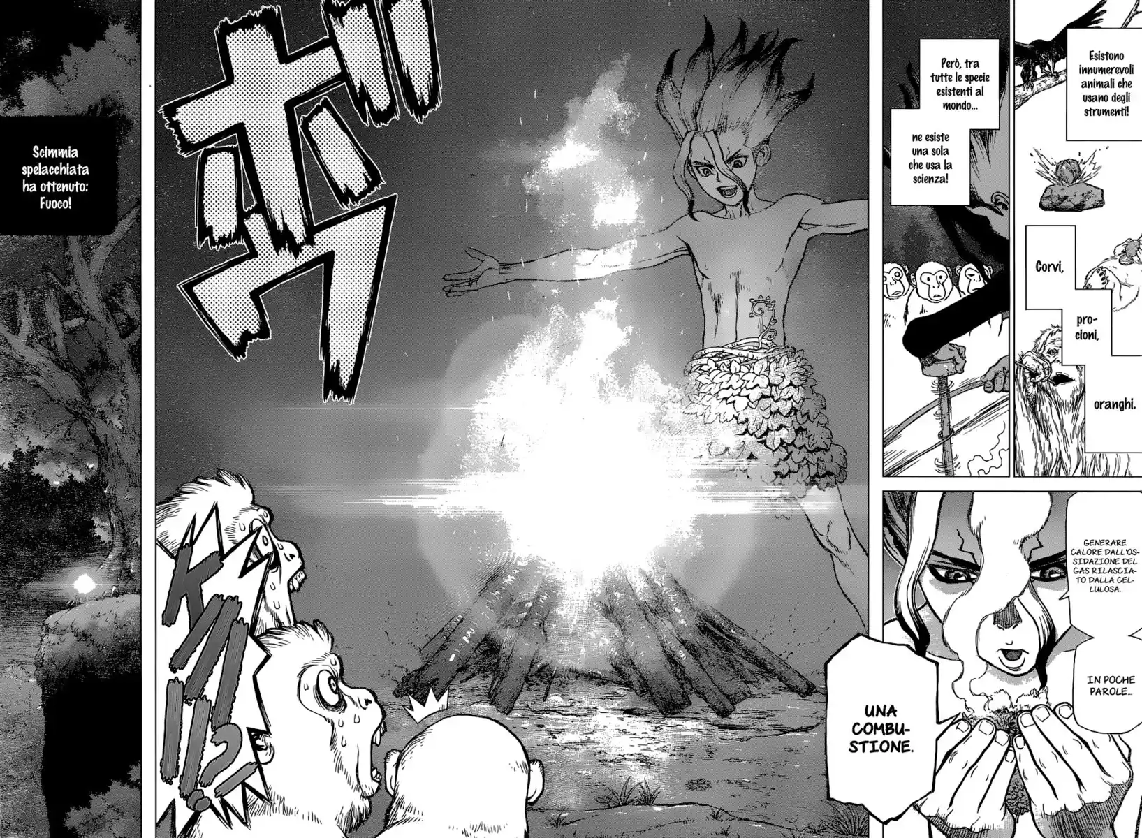 Dr. Stone Capitolo 13 page 17