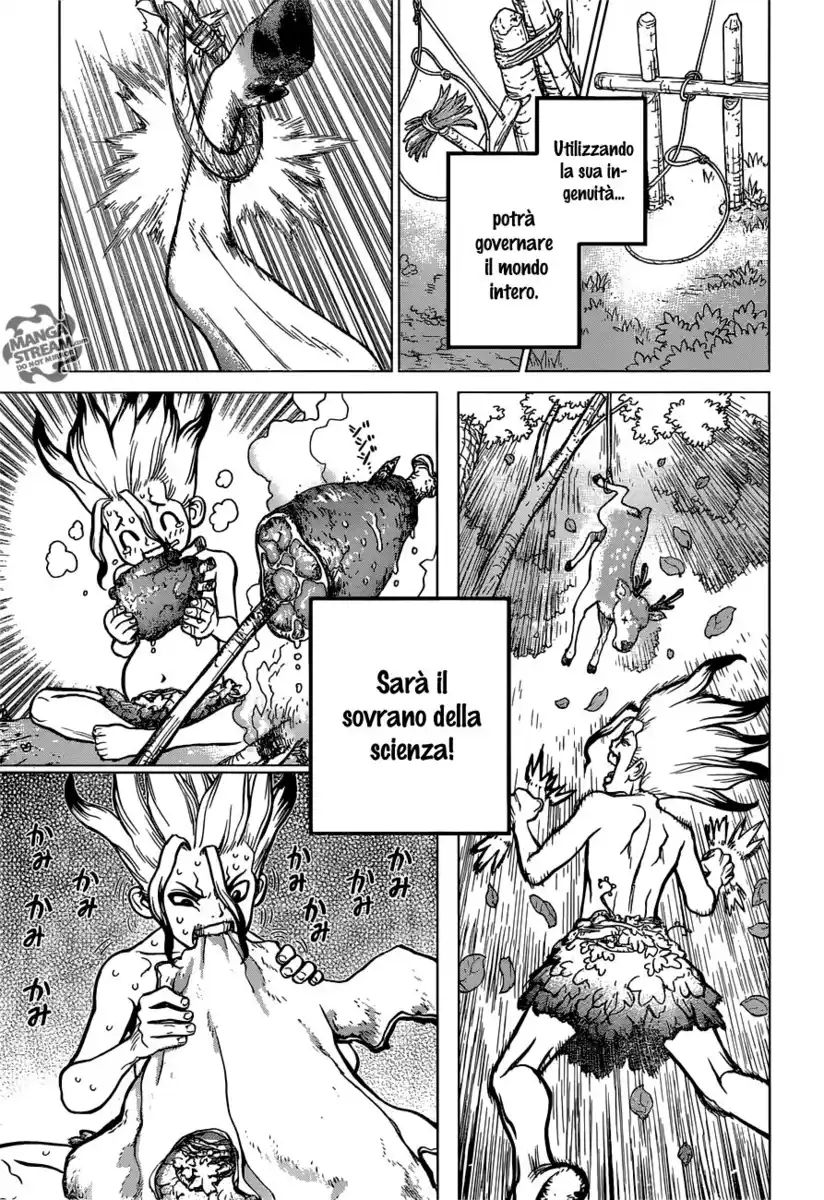 Dr. Stone Capitolo 13 page 19