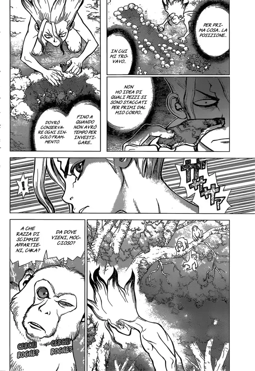 Dr. Stone Capitolo 13 page 6