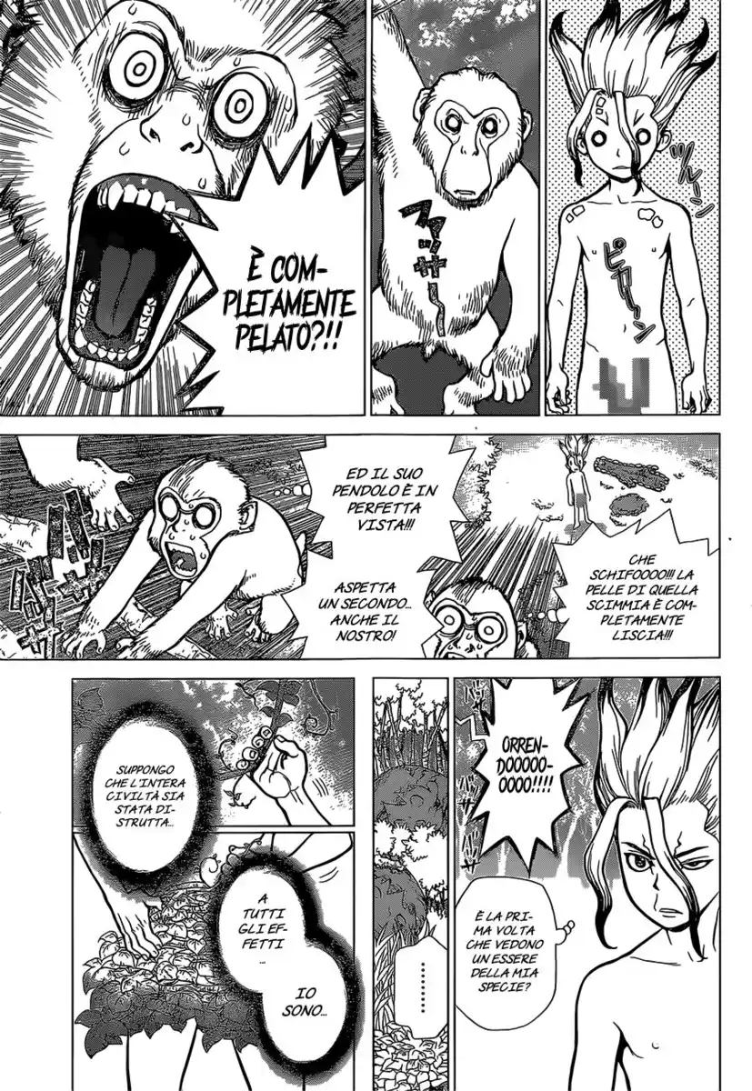 Dr. Stone Capitolo 13 page 7