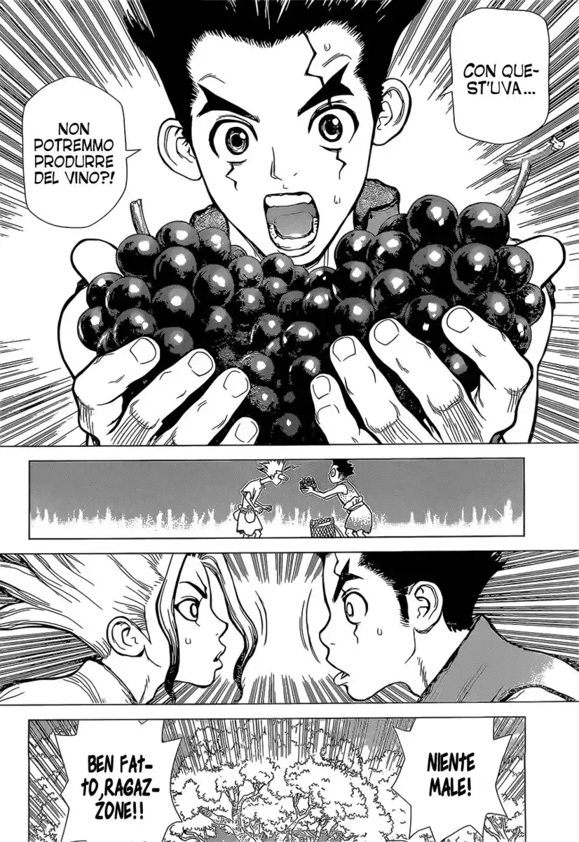 Dr. Stone Capitolo 02 page 13