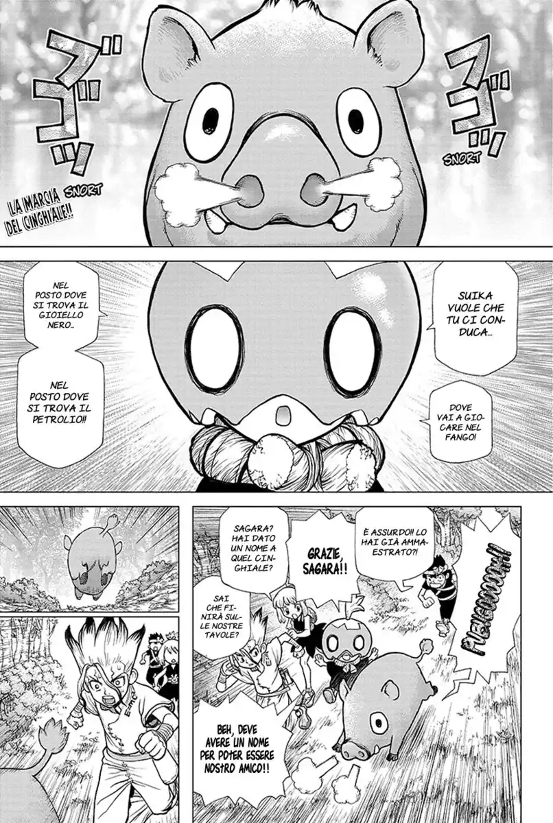 Dr. Stone Capitolo 95 page 6