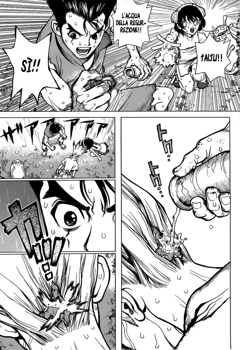 Dr. Stone Capitolo 12 page 14