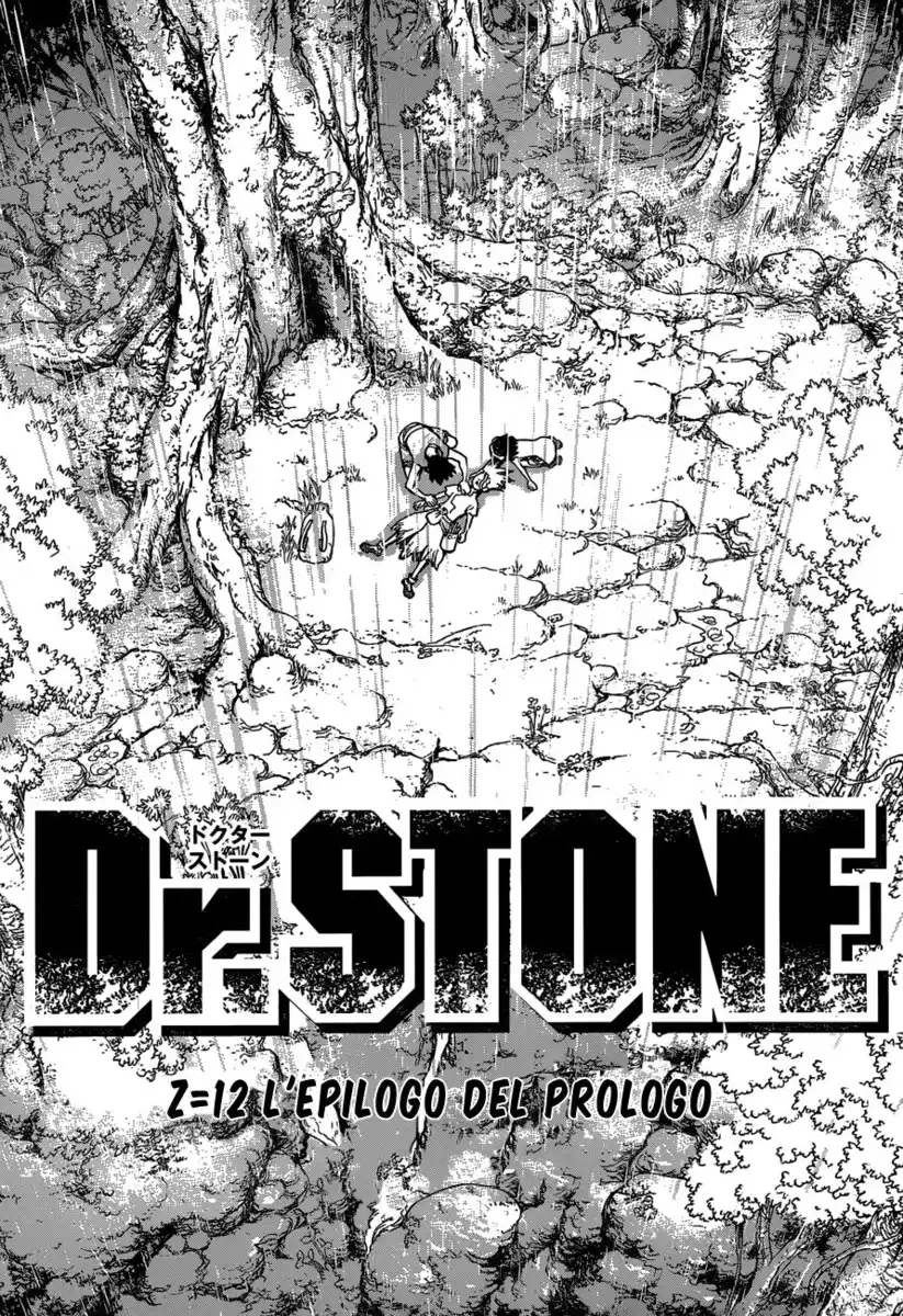 Dr. Stone Capitolo 12 page 17