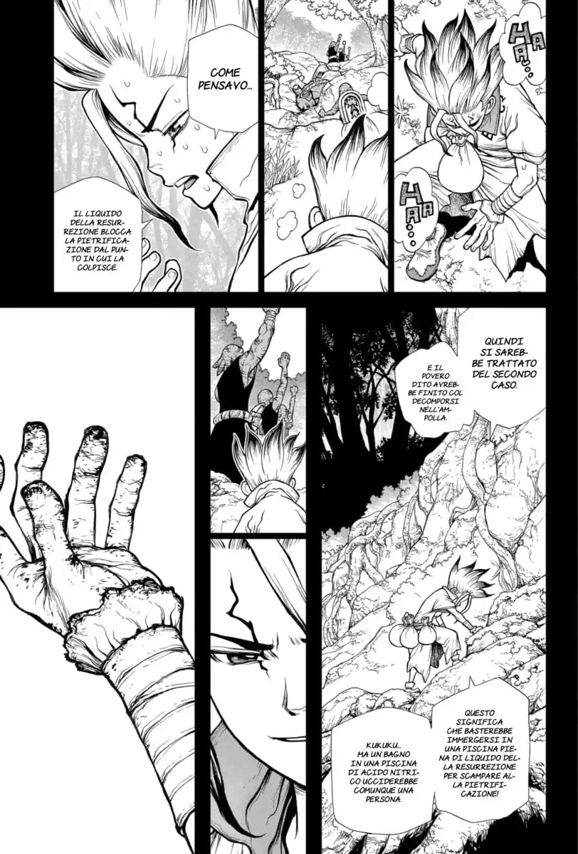 Dr. Stone Capitolo 135 page 13