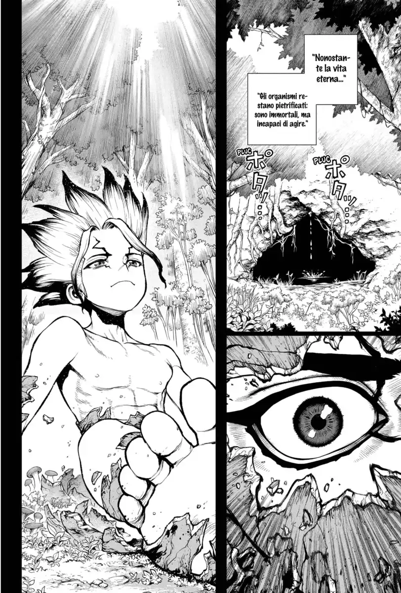 Dr. Stone Capitolo 229 page 14