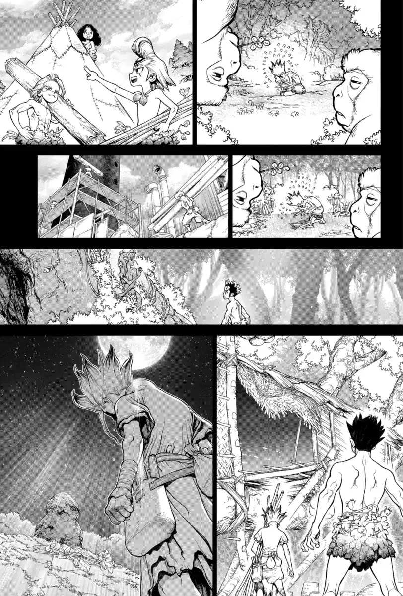 Dr. Stone Capitolo 229 page 15