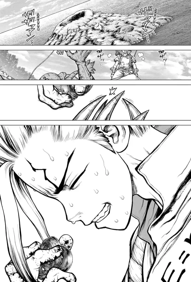 Dr. Stone Capitolo 137 page 13