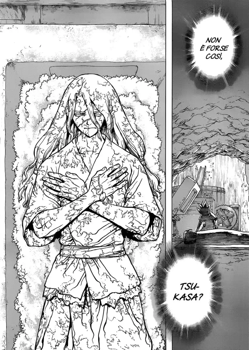 Dr. Stone Capitolo 83 page 21