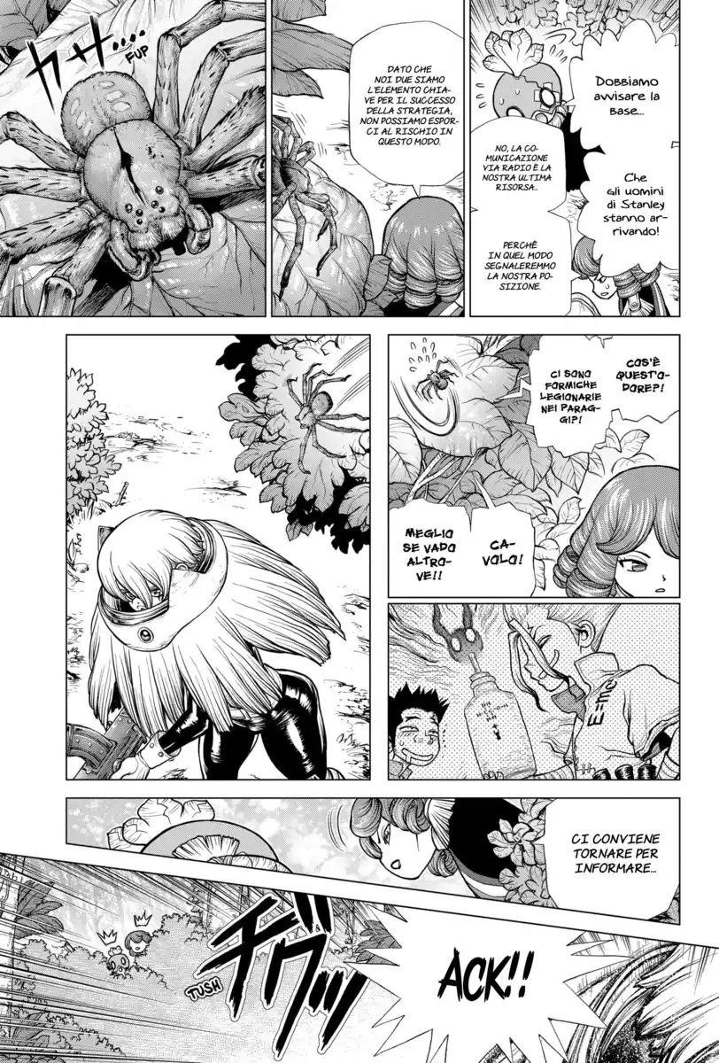 Dr. Stone Capitolo 185 page 13