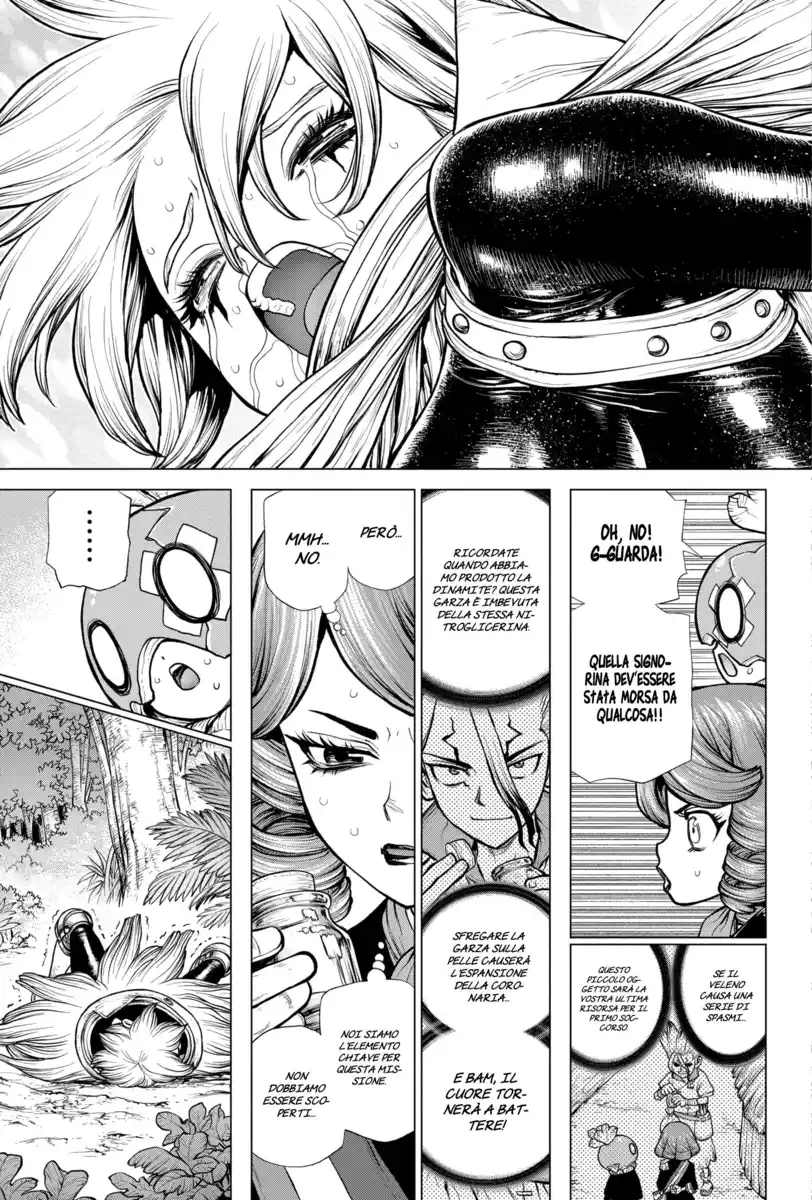 Dr. Stone Capitolo 185 page 15