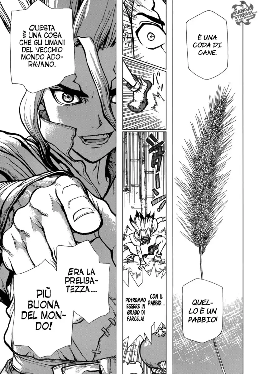 Dr. Stone Capitolo 22 page 11