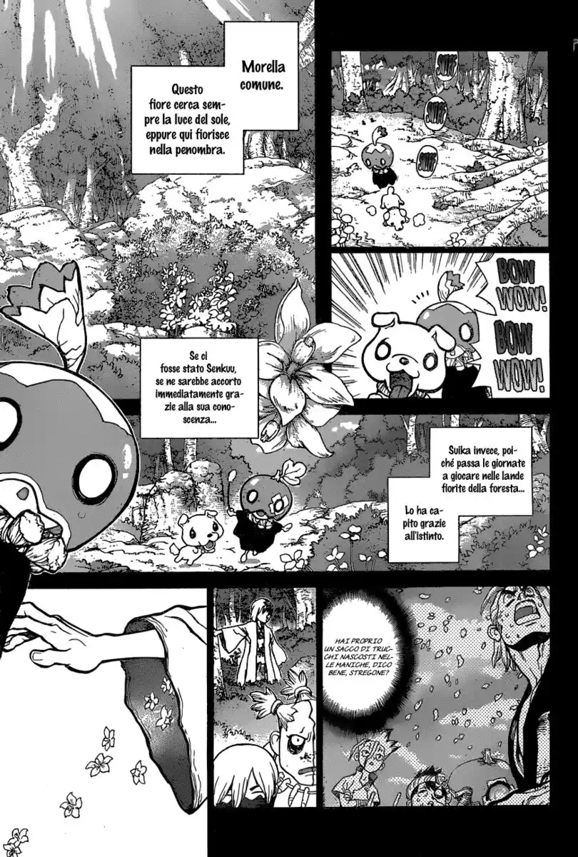 Dr. Stone Capitolo 48 page 17